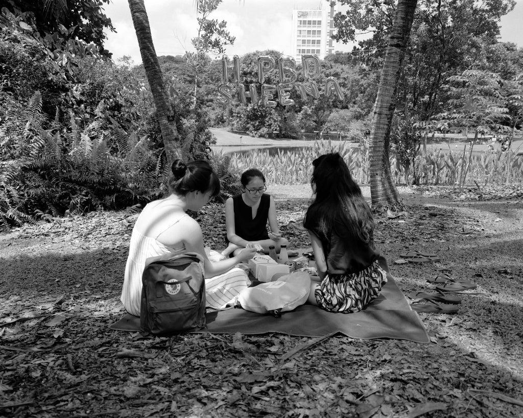 Birthday Picnic, Singapore, 2018