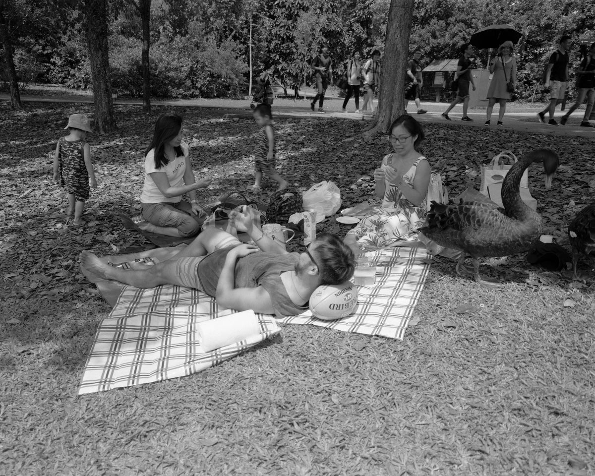 Family Picnic, Singapore, 2018