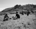 Hillside Smokers, Shillong, 2018