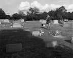 Tate, Rockingham, North Carolina, 2014