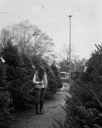 Tree Shopping, Durham, North Carolina, 2014