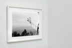 Angie Snappin' Pics, Blue Ridge Parkway, North Carolina, 2014 — framed on wall