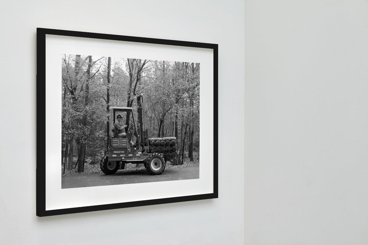 Chris' Grass Business, Durham, North Carolina, 2014