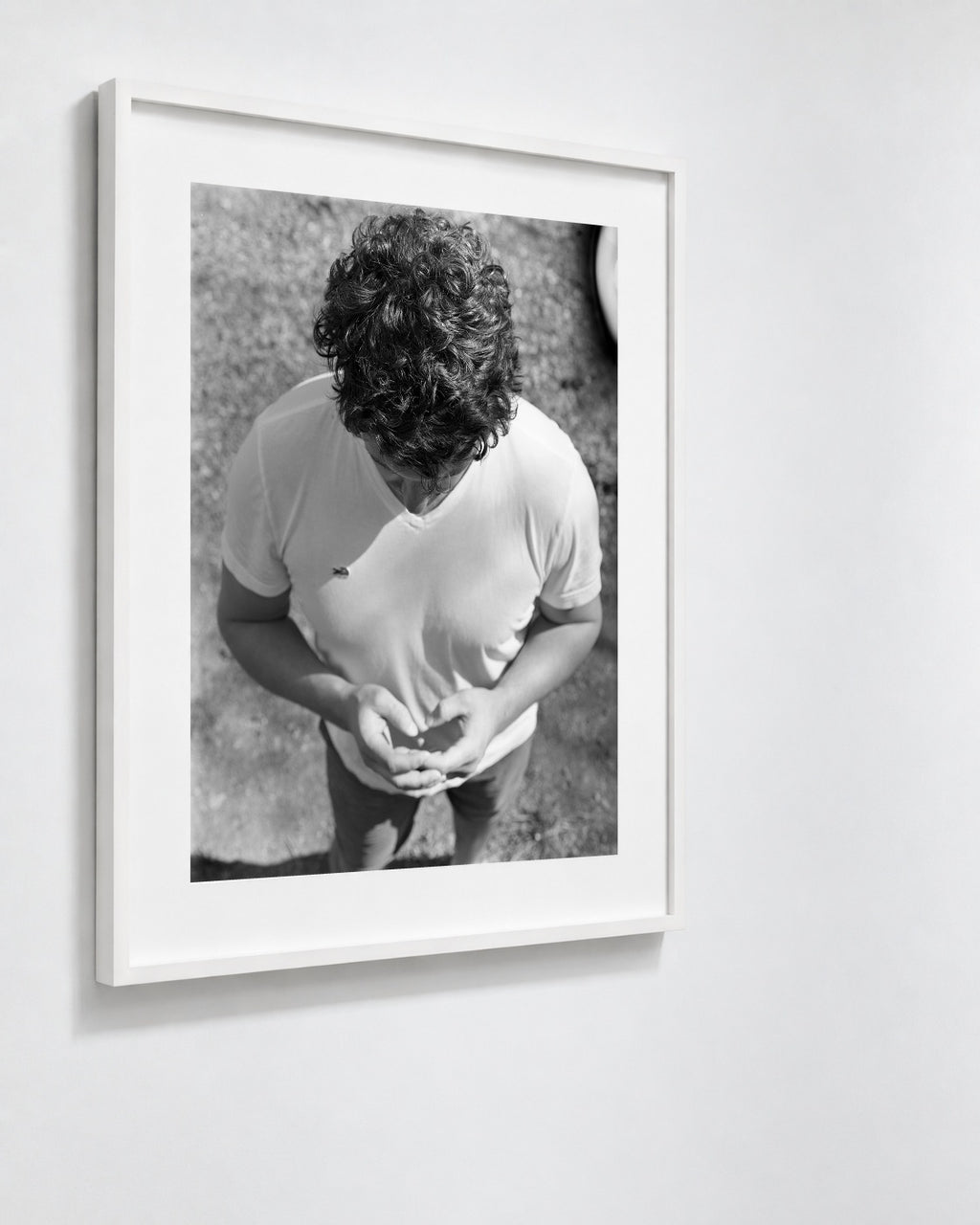 Connor, Charlotte, North Carolina, 2016 — framed on wall