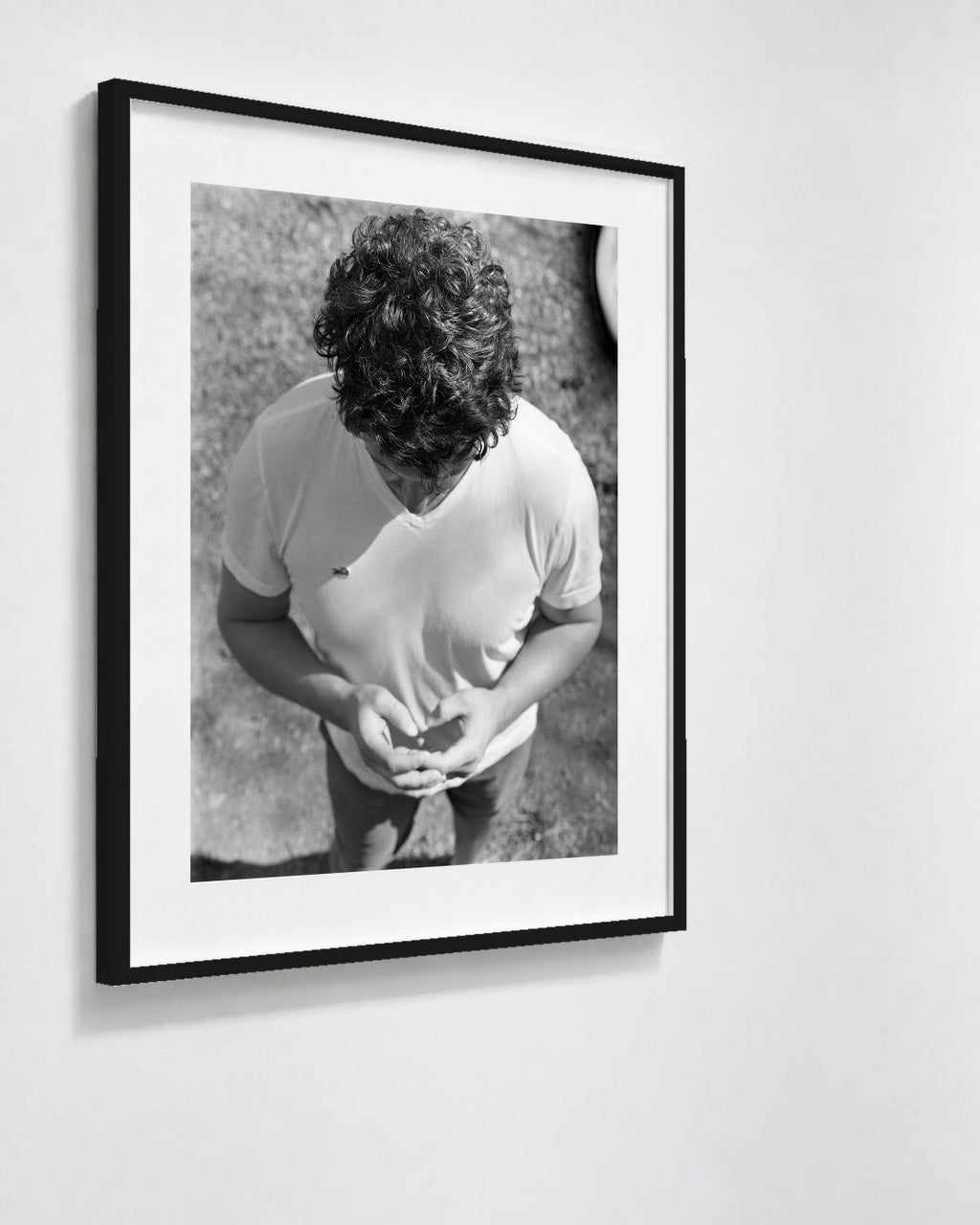 Connor, Charlotte, North Carolina, 2016