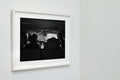 Head On, Pinehurst, North Carolina, 2014 — framed on wall