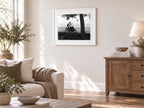 Lake McCain Couple, Hanoi, Vietnam, 2018, a framed fine art print by Eric Pickersgill shown in a living room