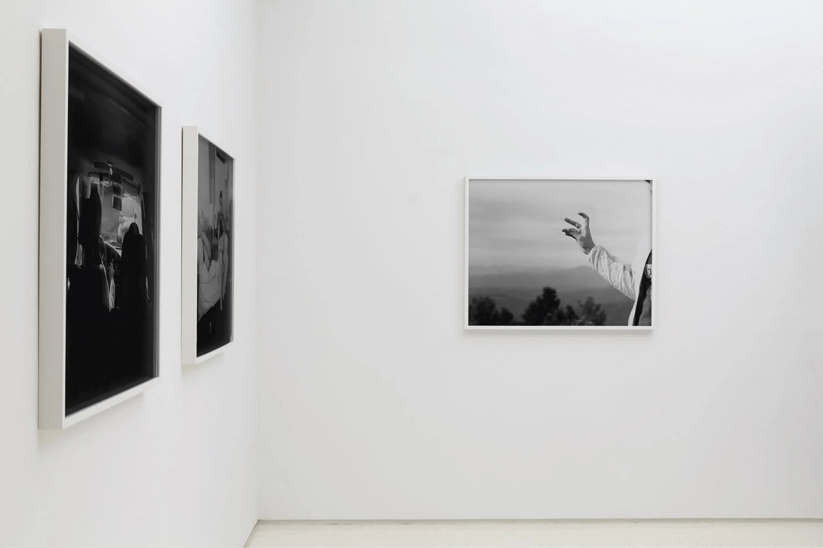 REMOVED gallery installation at Rick Wester Fine Art, New York