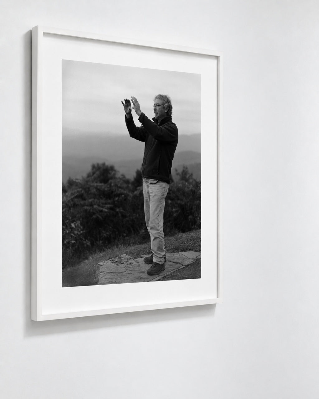 Sunrise Sleeper, Blue Ridge Parkway, North Carolina, 2014 — framed on wall