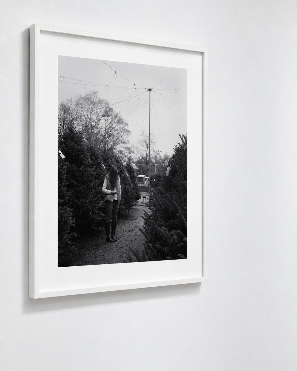 Tree Shopping, Durham, North Carolina, 2014 — framed on wall
