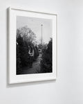 Tree Shopping, Durham, North Carolina, 2014 — framed on wall