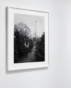 Tree Shopping, Durham, North Carolina, 2014 — framed on wall