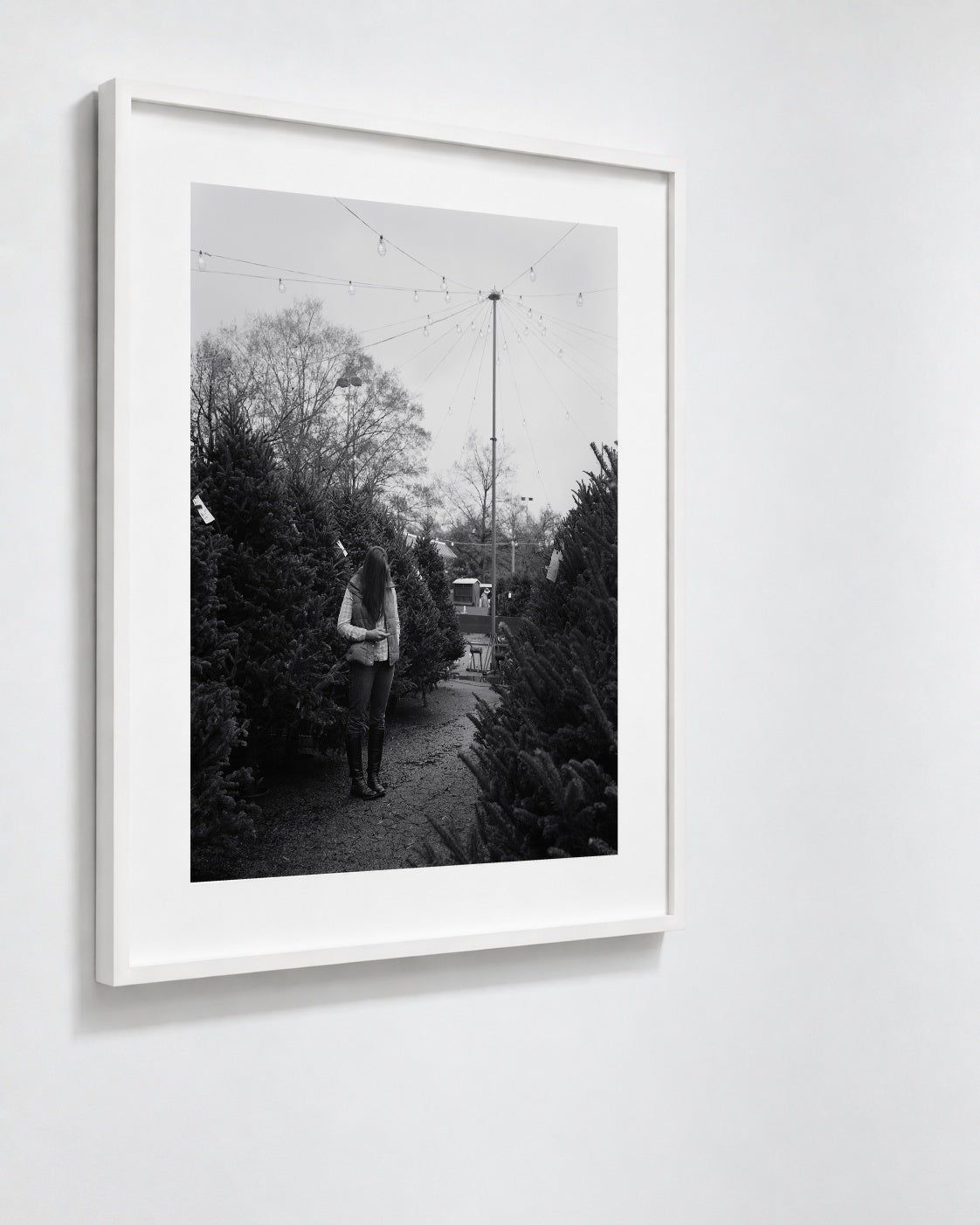 Tree Shopping, Durham, North Carolina, 2014 — framed on wall