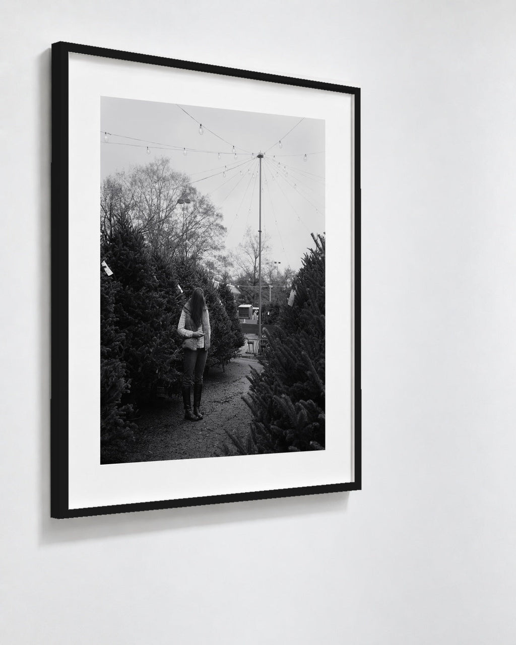 Tree Shopping, Durham, North Carolina, 2014