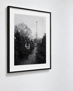 Tree Shopping, Durham, North Carolina, 2014
