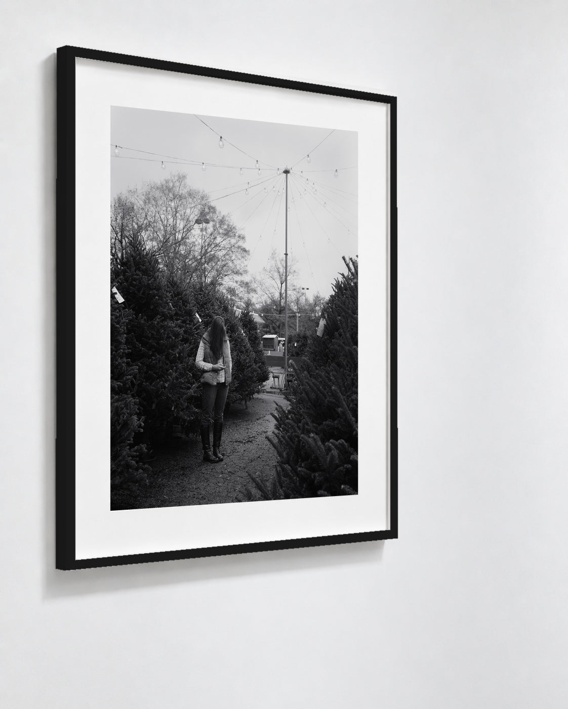 Tree Shopping, Durham, North Carolina, 2014